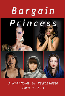 Bargain Princess Parts 1 & 2 & 3 cover